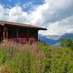 Starthaus der "permanenten" Rennstrecke ;)