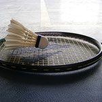 Tournoi Badminton Maîche - Russey 2008