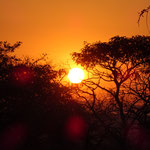 Mein letzter Sonnenaufgang im Lowveld