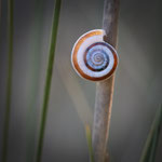 24 Punkte Bild 37_Jutta Hintze_Swirly