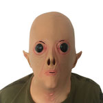27. Maske