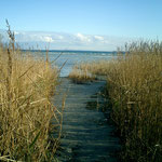 Weg zum Wasser