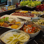 Galapagos Shark Diving - Tipps für Deinen Tauchtrip Galapagos Inseln