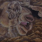 80x60