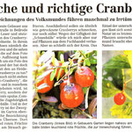 Torgauer Zeitung Oktober 2011