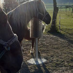 SCHURRfix posts in use, Schmid Unlingen DE