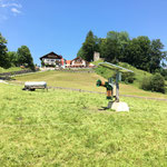 SCHURR PV-Kuhbürste in Aktion