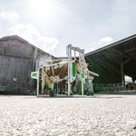 SCHURR Klauenpflegestand Modell 2021 in Aktion, Buck Möhringen DE