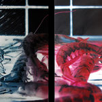 2011 - hot gambas - mixed media with oilfinish on PVC - 160 x 120