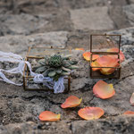 Ringbox aus Glas