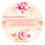 Macaron poétique imprimé sur feuille calque pailleté / Petit voile avant de dévoiler de la lingerie abricot et rose bonbon