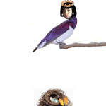 B2 - Margot Oiseau
