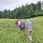 "Aufstieg" zum Bienenhaus