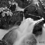 Black and white version of Iguassu Falls cascade I, Argentina