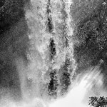 Black and White version of Iguassu Falls individual cascade