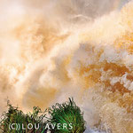 The Power of Water, Iguazu National Park, Argentine