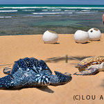 Model sea turtles and eggs at the entrance of TAMAR environmental Project in Praia do Forte 