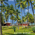 Palm tree garden and bar of the Hotel Bahia Plaza at beach Busca Vida