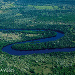 Aerial view of Pantanal around Poconé