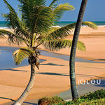 Dream beach Imbassaí in the Coconut coast north of Salvador da Bahia