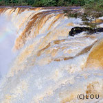 View to Salto Bossetti of Iguassu Falls in the argentine National Park of Iguazu