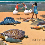 Tourists posing for snapshot at "Open Museum for Sea Turtles of the TAMAR Project in Praia do Forte
