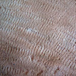 Traces de bretture