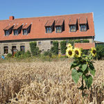 Haus von vorne
