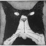 Tom cat