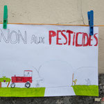 Dessin d'enfant, contre les pesticides classés C.M.R. auprès de l'école de Saint-Genès-de-Lombaud. 15 juin 2017