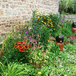 Un joli parterre de fleurs