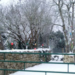 Cela donne des paysages magnifiques