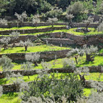 Valldemossa