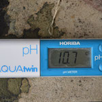 PH　10.7これくらいのPHがベストです！
