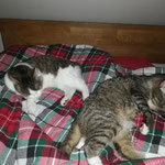 Annabelle und Sally