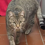 Wilma