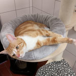 Der kleine Nick