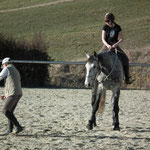 Formación profesional de domador de caballos en Equitación Etológica con Elisabeth de Corbigny