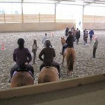 Formación profesional de domador de caballos en Equitación Etológica con Elisabeth de Corbigny