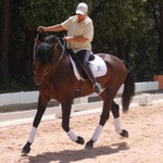 Formación profesional de domador de caballos en Equitación Etológica con Elisabeth de Corbigny