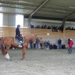 Formación profesional de domador de caballos en Equitación Etológica con Elisabeth de Corbigny