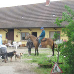 Letzte instruktionen :-) Irina, Rachelle und die Hunde warten schon ungeduldig!