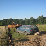 Alle helfen mit :-)