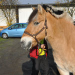 Unser Jonny Pony