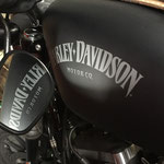 Harley Davidson 883 Iron