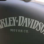 Tank Harley Davidson 883 Iron