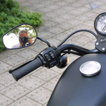Spiegel Harley Davidson 883 Iron