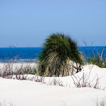 Dünenladnschaft auf Wangerooge