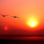 Wangerooge