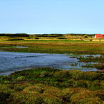 Wattenmeer Wangerooge